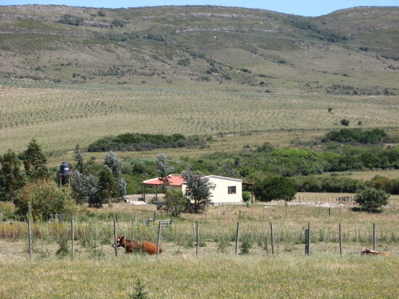 Chacra de 6 hectáreas en Las Cañas